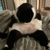 momisharted