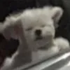 _.phuongtranggg