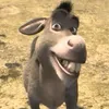 winksybobinsky347