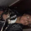 charisma_newton