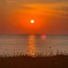 moonylyly67