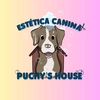 puchyshouse