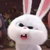 bunnyy2909
