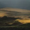 kojuh