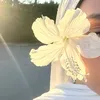 haneeyah_12