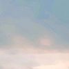 riis2207