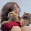 Nghèo nhưng nuôi mèo 𓃠