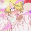 sanjiindrag