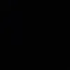 abida_11