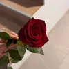 nobodyy0440