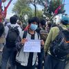 chaton_dhonzu07