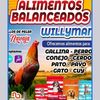 willymantlv