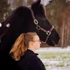 friesian_ellen