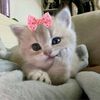 nouuu.rrr_