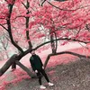 koreanboymaster