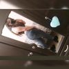 izcallyramos