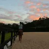 elsie1813lyra