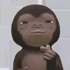 jjereveur