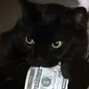 ayyeitsliz14