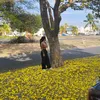 minibarajas