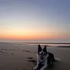 manndlc