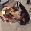 jessy_kat