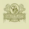 pablos.plants