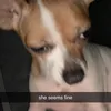 landryyjennae