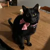 cactapi