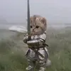 euphoriavr
