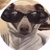 hellocrackheads