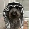 havxvh