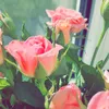 _jessi.18_