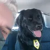 betothedog