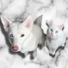 kaya_and_rue