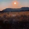 naturegal450