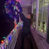 lindsalt2