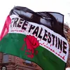 freepalestine_378