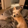 vikkileigh8