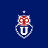 _udechile_20