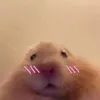 rustysuberb