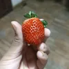 toaquiaparaassistir