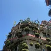 hehatesjelle