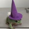 queer_froggie_