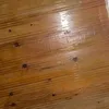 lilpastasauseynunu