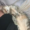 chlo3kat