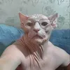 kirrushanyht
