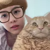 meomap.us
