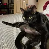 sleazyc