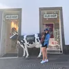 rinananinda